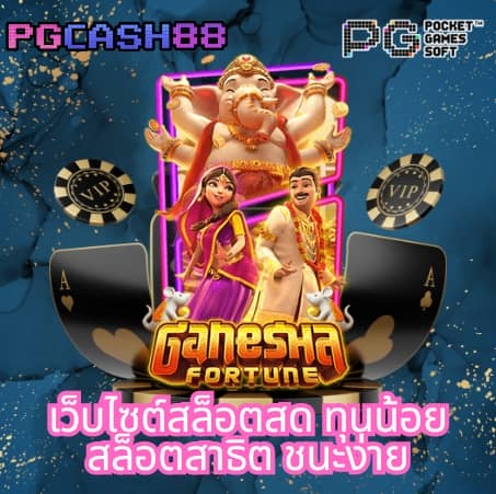 เพย์เน็กซ์ extra