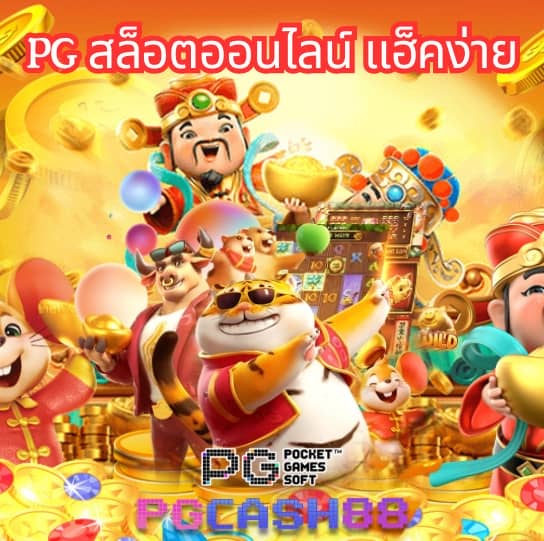 เพย์เน็กซ์ extra